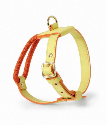 Ca’Mia Solea Loop Harness - Turuncu
