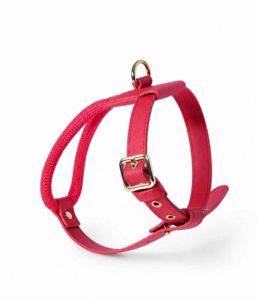 Ca’Mia Solea Loop Harness - Kırmızı